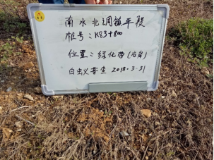 渠首分局白蟻普查825.png